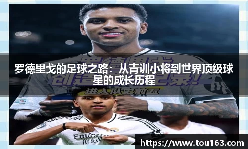雷火电竞官网