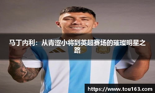 马丁内利：从青涩小将到英超赛场的璀璨明星之路